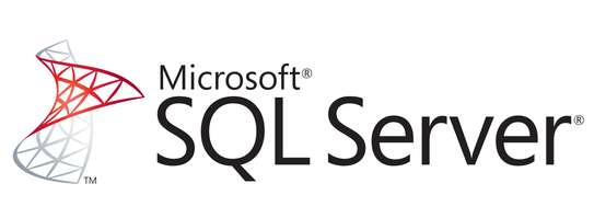 SQL Server image 2