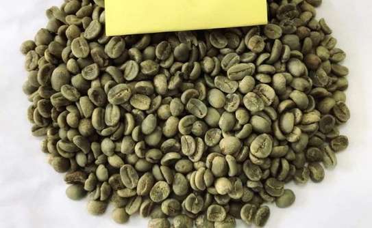 Café vert Meilleur prix du marché image 1