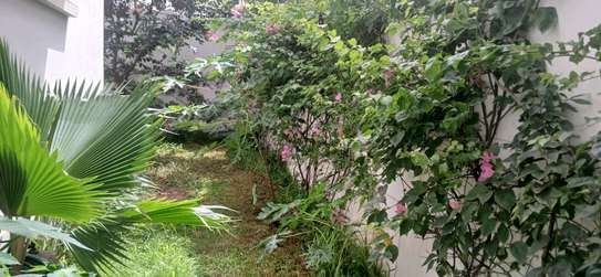 villa louer mermoz image 2