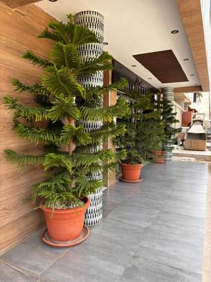APPARTEMENT MODERNE image 2