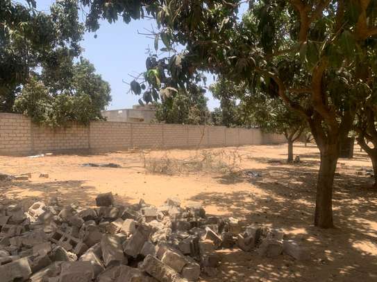 TERRAIN DE 5000 M2 COMMERCIAL A VENDRE DE ROUTE A KEUR SEGA image 2
