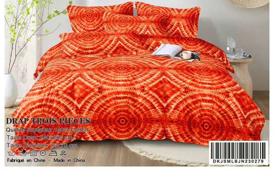 Vente de Draps image 10