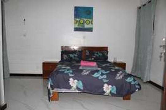 Appartement loué avec ou sans les meubles image 12