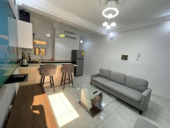 STUDIO MEUBLÉ A LOUER LIBERTÉ 2 image 8