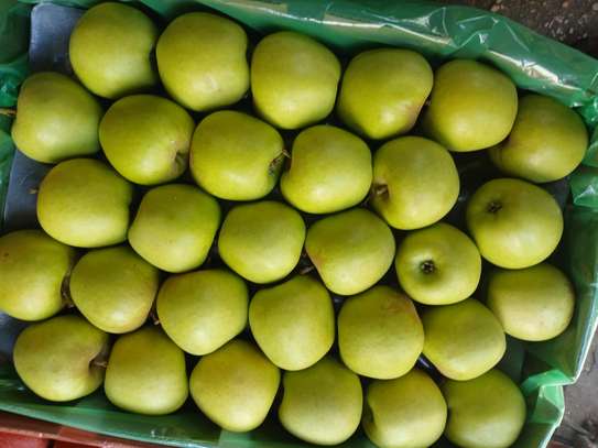 Fruit image 11