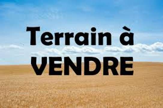 30 hectares a vendre a Bayakh 1er position image 1