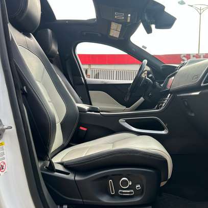 Jaguar image 8