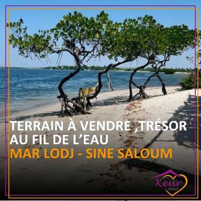 Terrain à vendre à Mar Lodj image 1