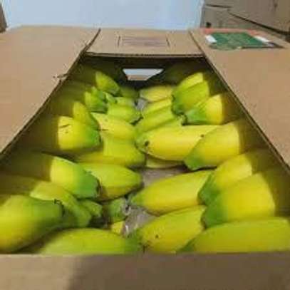 Fruit image 14
