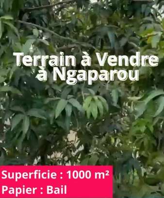Terrain à vendre à Ngaparou image 5
