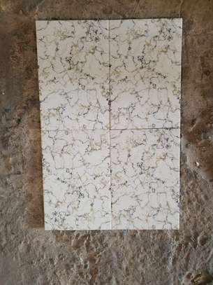 Carreaux Faïence 20X30 image 4