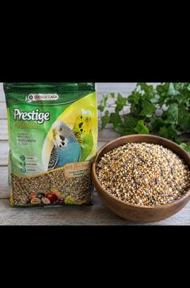 Aliment perruche image 3