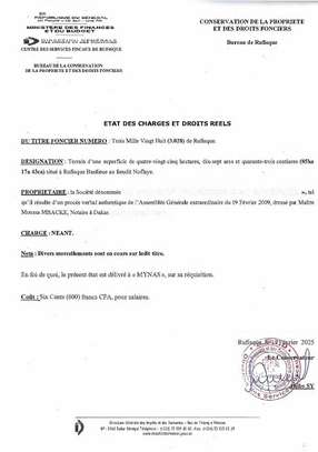 TF nus constructibles à NOFLAYE (sangalkam) image 4