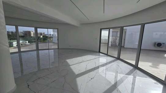 Duplex penthouse à louer image 8