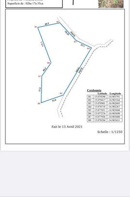 Plus de 2 hectares a vendre a Mboro image 1