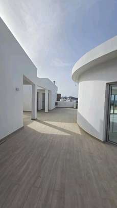 Duplex penthouse à louer image 7