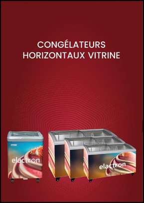 BD-350FX congélateur horizontal 350L classe A+ image 3