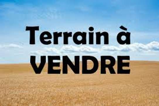 Des parcelles de 150m2 a OUEST FOIRE image 1