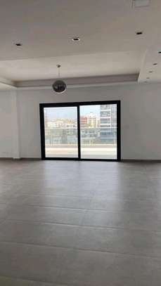 Superbe penthouse au POINT E image 3