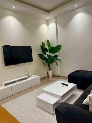 Appartement meublé de deux chambres image 14