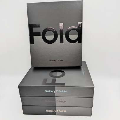 Fold 4 image 1
