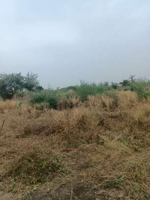 21 hectares à vendre à sindia entre Nguekhokh et Ngerigne image 1