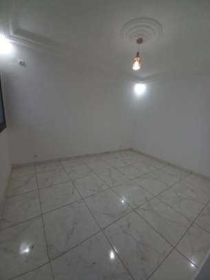 APPARTEMENT A LOUER AUX MAMELLES image 7