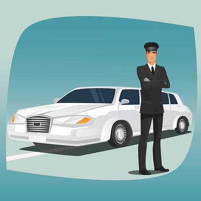 Chauffeur Professionnel / Particulier image 1