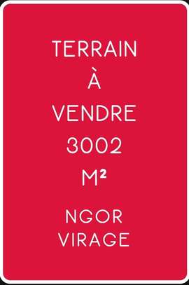 TERRAIN 3002 m²  PIEDS DANS L'EAU ALMADIES image 1
