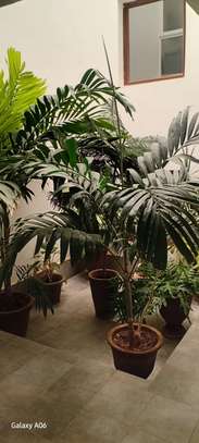 Appartement A louer Aux Almadies image 3