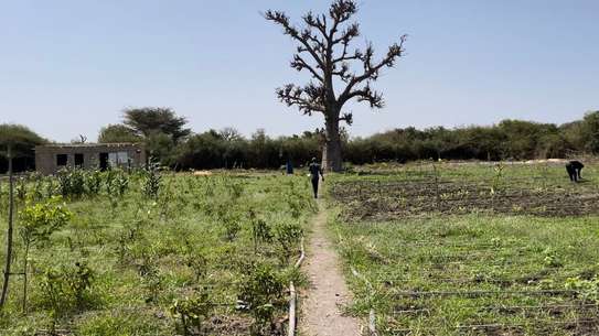 Terrain 1 hectare a sebiponty ndoyene image 1