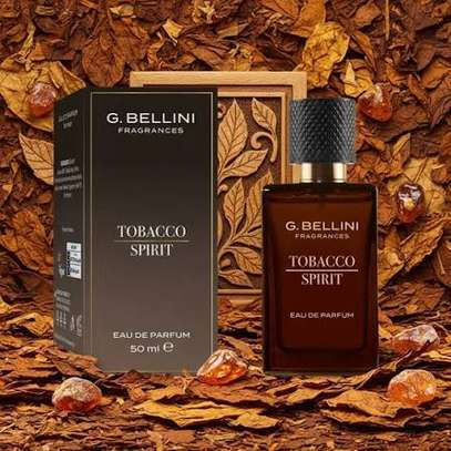 G Bellini Tobacco Spirit Eau de Parfum 50 ml image 2