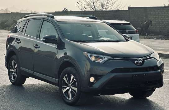Toyota RAV 4 xle 2018 image 1
