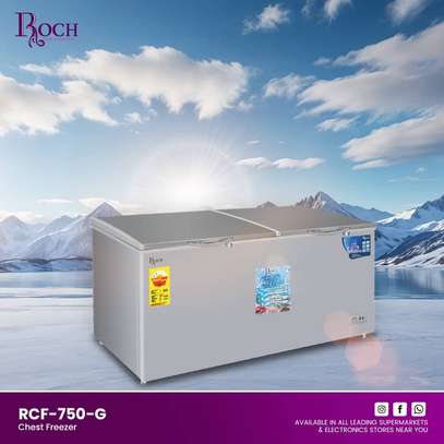 CONGELATEUR 800LITRES ROCH HORIZONTAL RCF750DD image 2