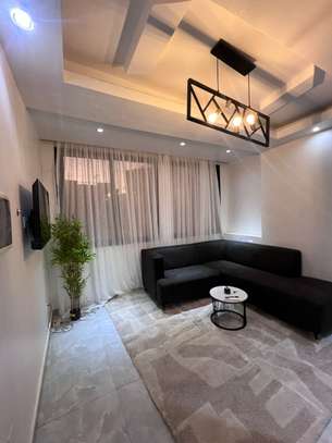 Studio Meublé sur la vdn image 2