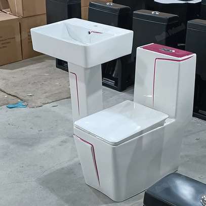 Chaise anglaise et lavabo complet image 10