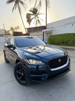 Jaguar venant image 1