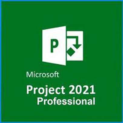 Microsoft MS Project 2021 image 2