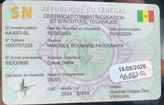 WANTER RENAULT SM3-2024 DÉJÀ IMMATRICULÉ image 15