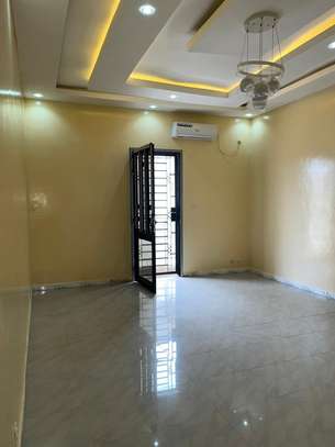 R+1 lac rose image 11