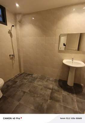 APPARTEMENT AUX MAMELLES image 3