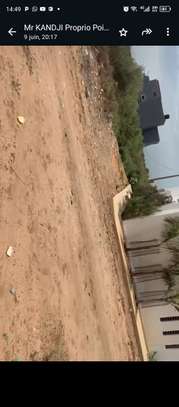 4500 m² à vendre à Saly center à Mbour sur la petite côte image 6