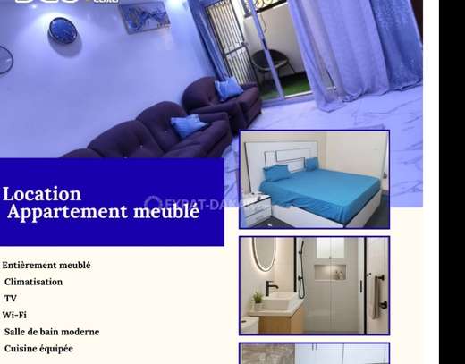 APPARTEMENT MEUBLE/ DISPONIBLE DANS L'IMMEDIAT image 1