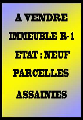 VEND UN IMMEUBLE R+1 AUX PARCELLES ASSAINIES image 1