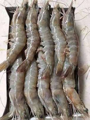 FRUITS DE MER ET POISSONS image 7