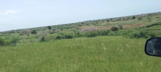 Terrains agricoles de plus de 50 hectares à vendre image 1