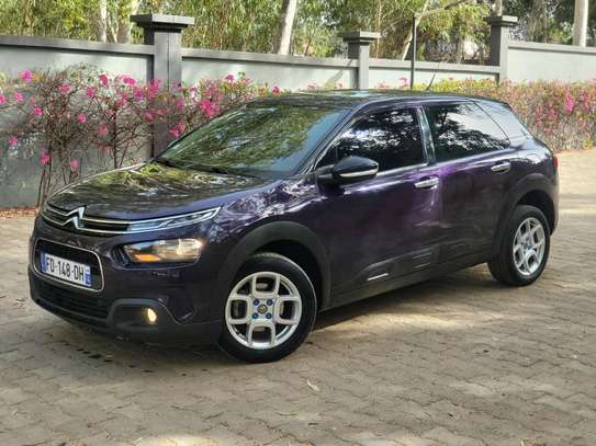 citroen c4-cactus 2019 image 13
