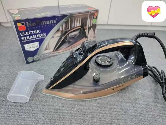 Fer à vapeur électrique Hoffmans HM-9052 3000W, image 1