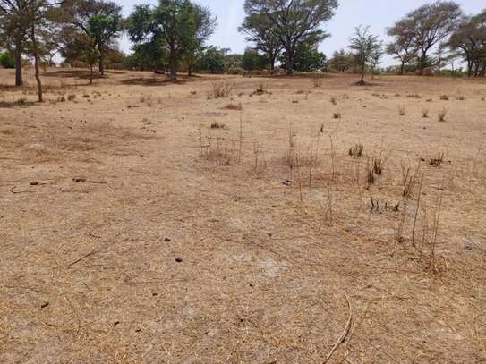 2,50 ha à fort potentiel : l’emplacement idéal vers Tassette image 2