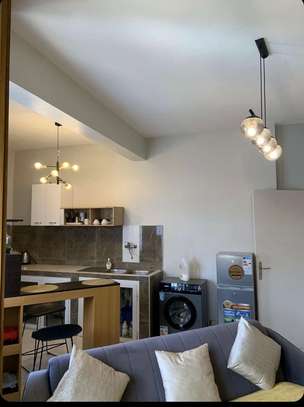 Studio Meublé à louer au Plateau image 3